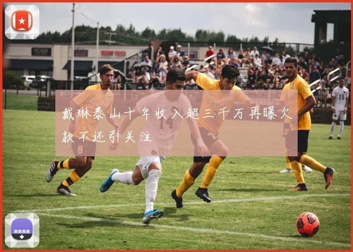 戴琳泰山十年收入超三千万再曝欠款不还引关注