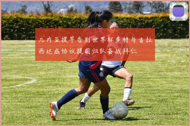 几内亚提早告别世界杯多特与吉拉西达成协议提前归队备战拜仁